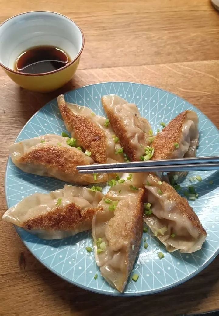 gyoza